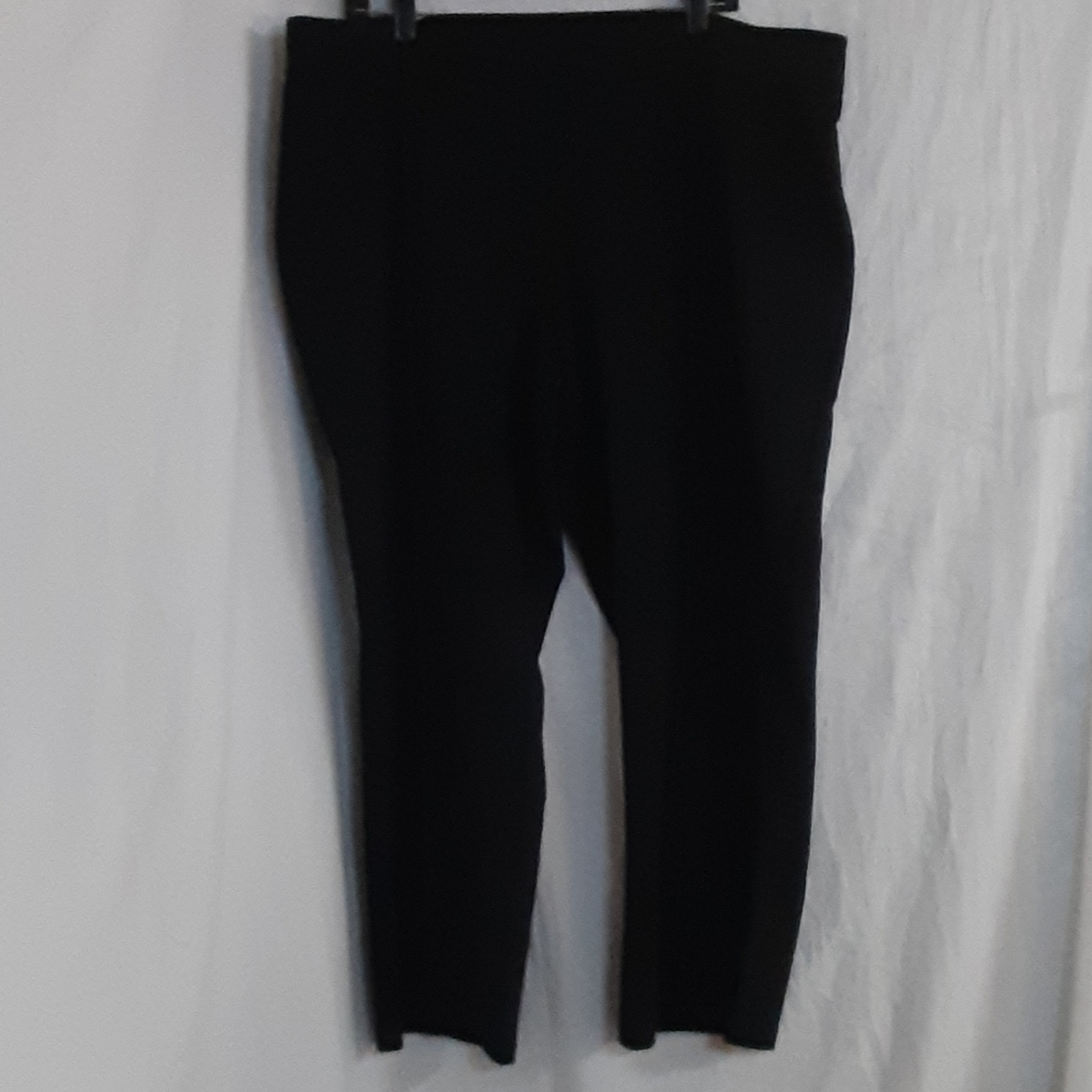 Plus sized pants